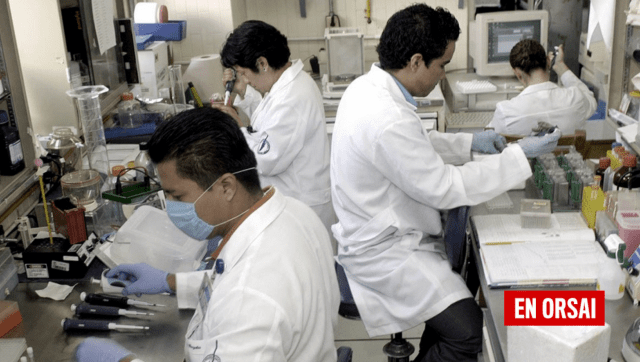 La caída de la inversión y disminución de investigadores marcan el rumbo de la ciencia en&nbsp;Argentina