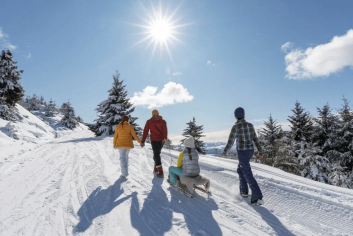 Cinco destinos argentinos ideales para disfrutar el invierno, según la inteligencia&nbsp;artificial