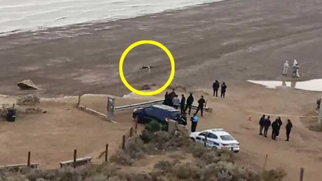 Hallaron el cuerpo de una mujer en una playa de Puerto&nbsp;Madryn