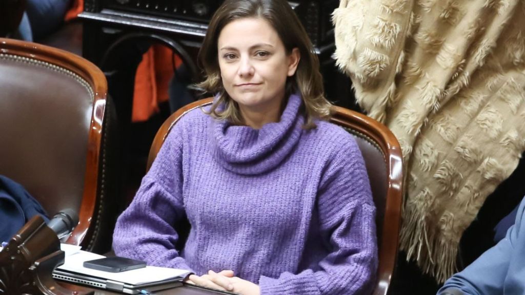 Vanesa Siley señaló que Arroyo Salgado carece de un conocimiento&nbsp;jurídico