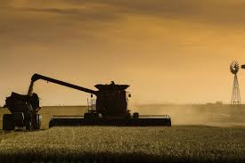 El Gobierno anunció una nueva baja de retenciones a las exportaciones de&nbsp;granos